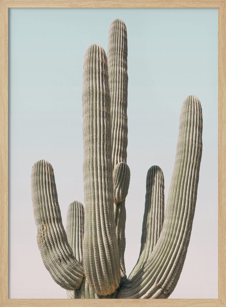 Poster - Saguaro posterframe van natuurlijk hout