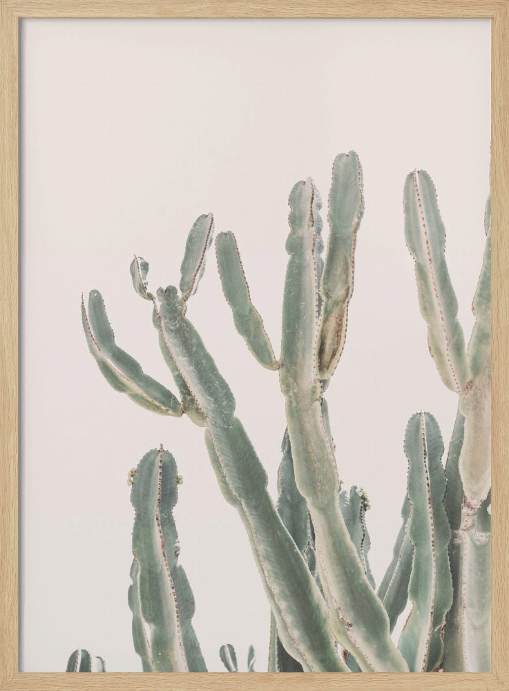 Poster - Sunrise Cactus posterframe van natuurlijk hout