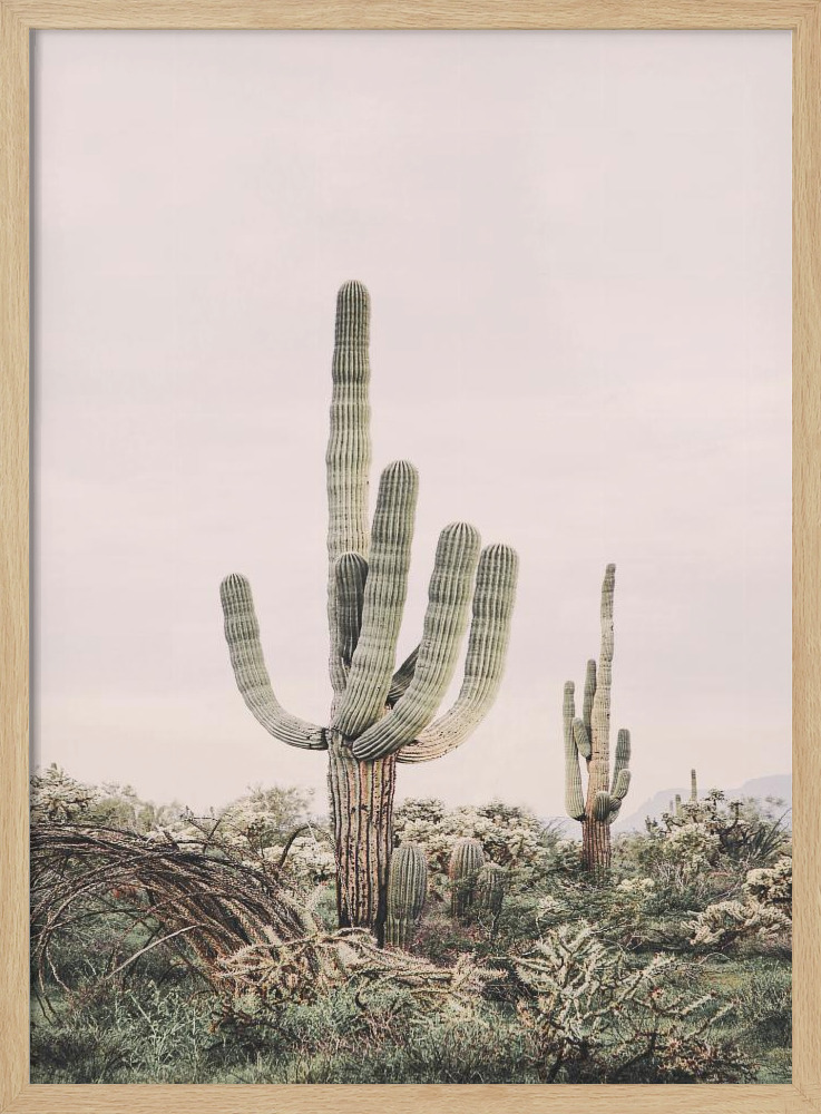 Poster - Pink Saguaro natural wood poster frame