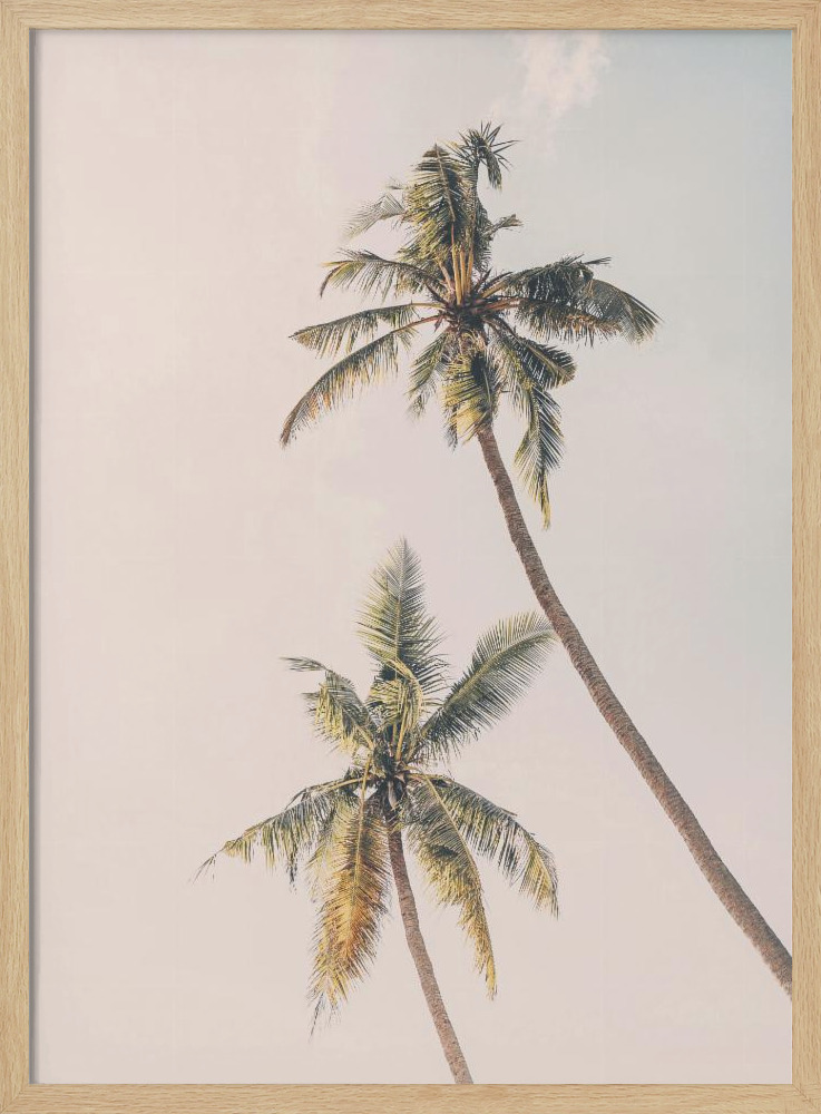 Poster Tropical Palms - Affisch posterram i naturligt trä