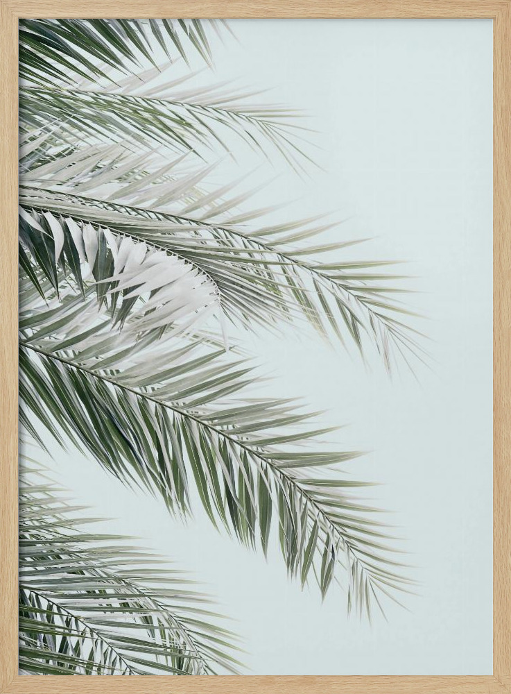Juliste - Blue Palms luonnollinen puu julisteen kehys