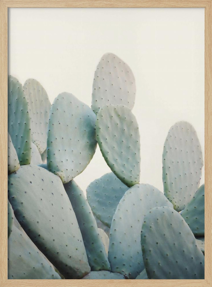 Poster - Pastel Cacti posterframe van natuurlijk hout