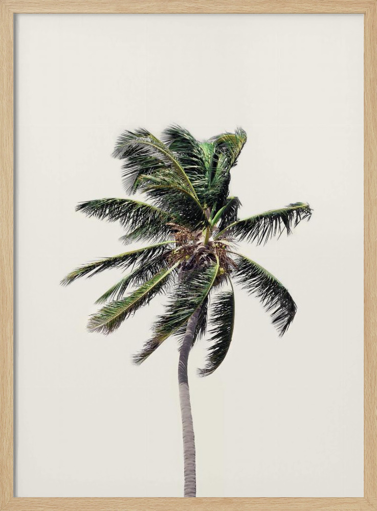 Poster - Windy Palm Tree natural wood poster frame