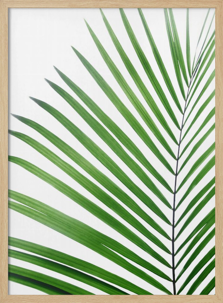 Poster - Green Palm Leaf posterframe van natuurlijk hout