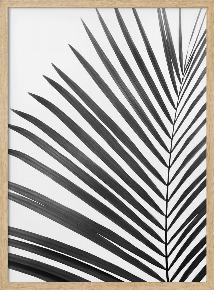 Plakat - BW Palm Leaf ramka na plakat z naturalnego drewna