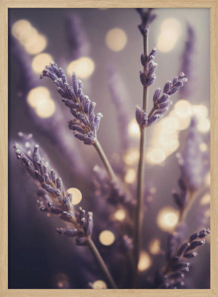 Poster - Lavender Detail natural wood poster frame