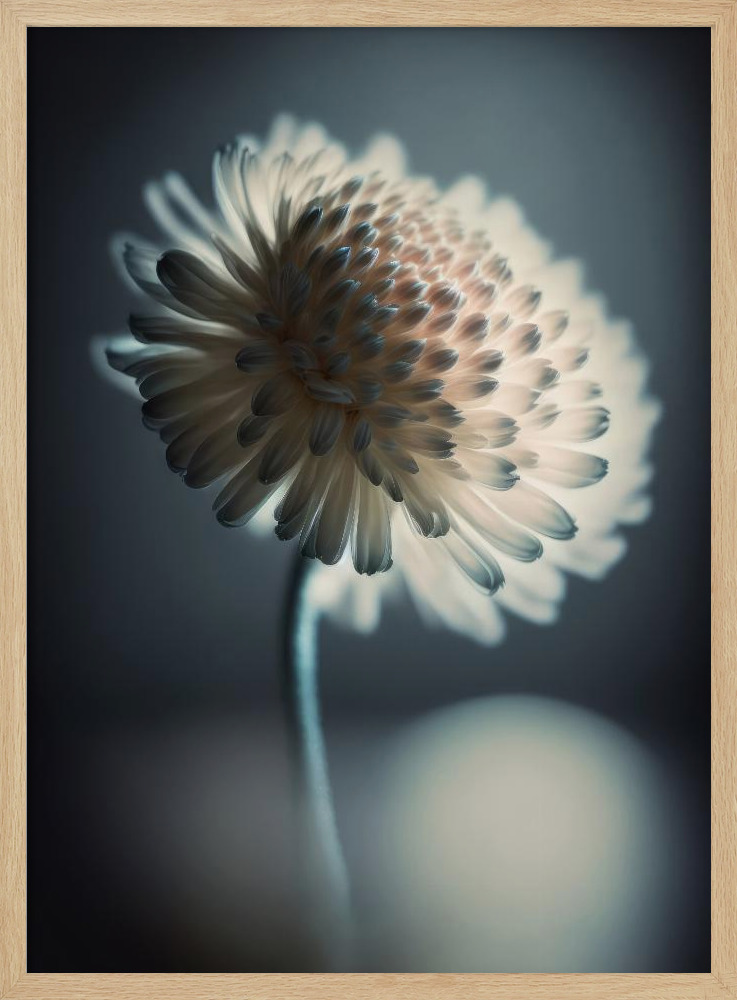 Poster - Pastel Beauty natural wood poster frame