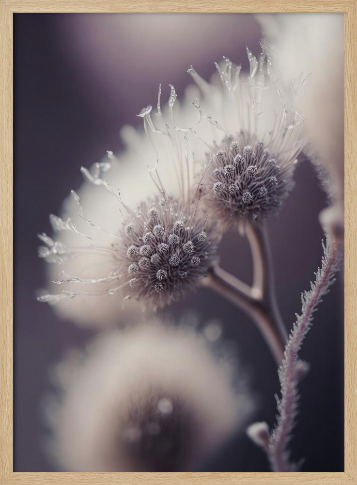 Poster - Purple Fragility natural wood poster frame