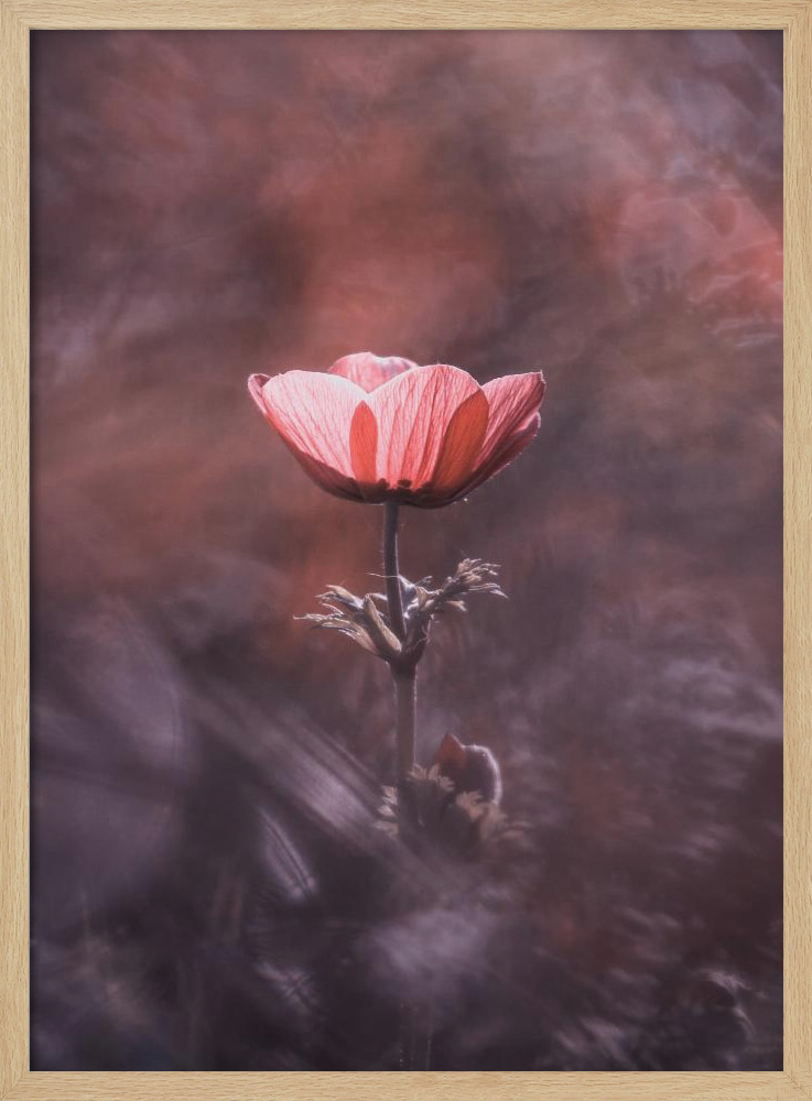 Affiche - Ardente cadre de poster en bois naturel