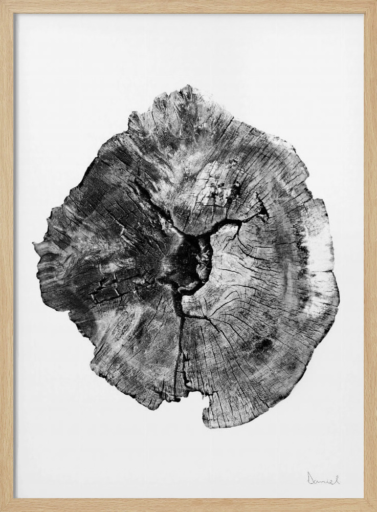 Póster - Oak Log natural wood poster frame
