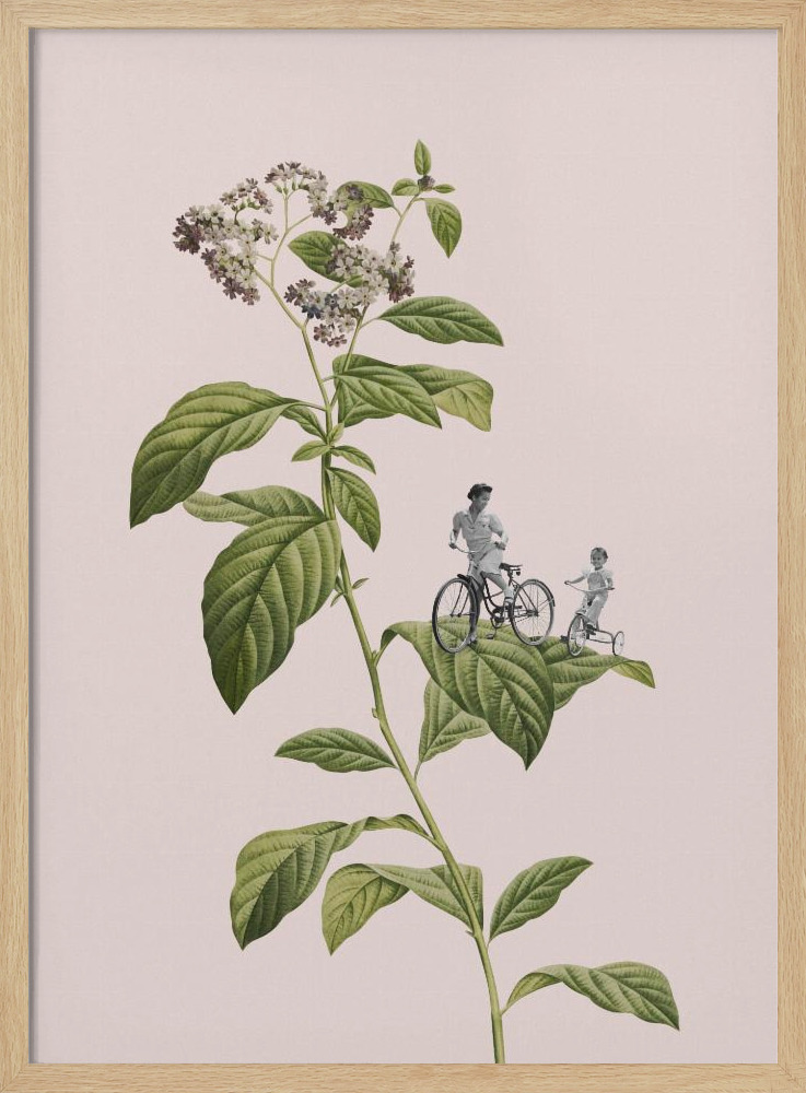 Poster - Botanical cycling natural wood poster frame