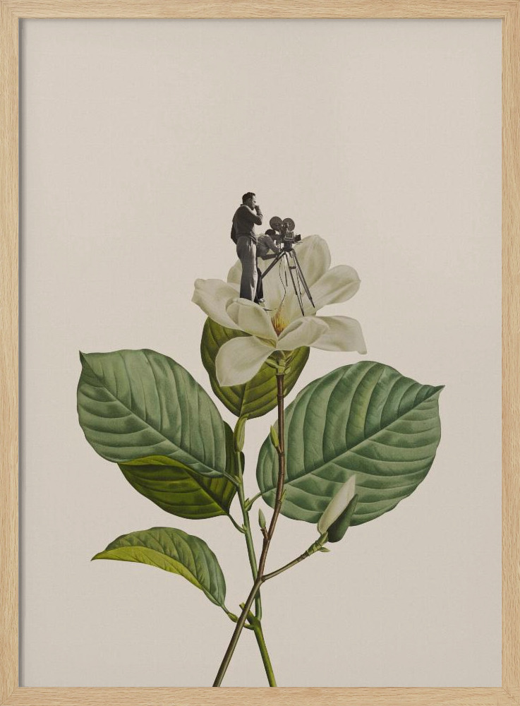 Poster - Botanical vintage cameraman natural wood poster frame