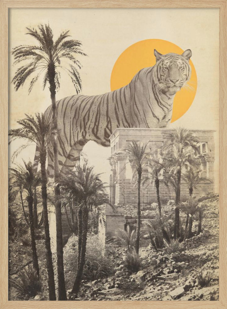 Poster - Giant Tiger In Ruins natural wood poster frame