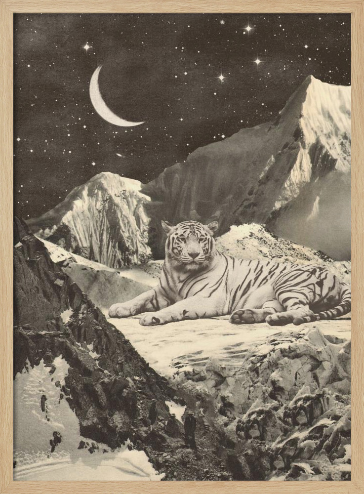 Poster - Giant White Tiger natural wood poster frame