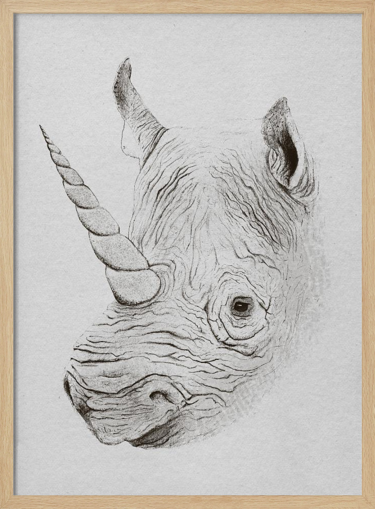 Poster - Rhinoplasty posterframe van natuurlijk hout