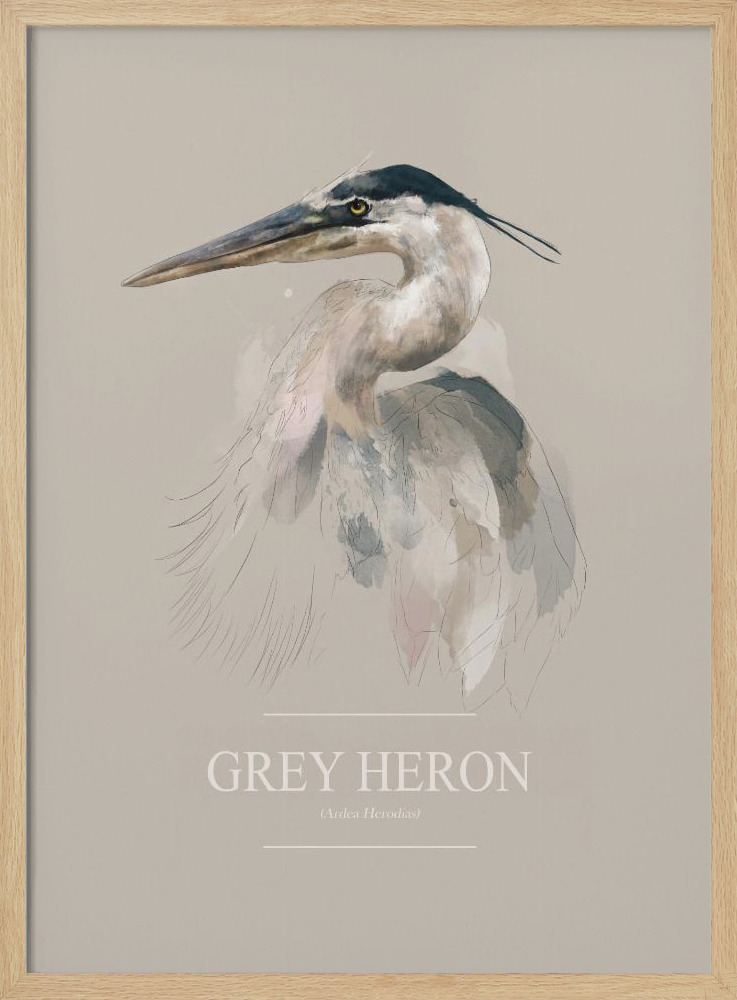 Affiche - Grey Heron cadre de poster en bois naturel