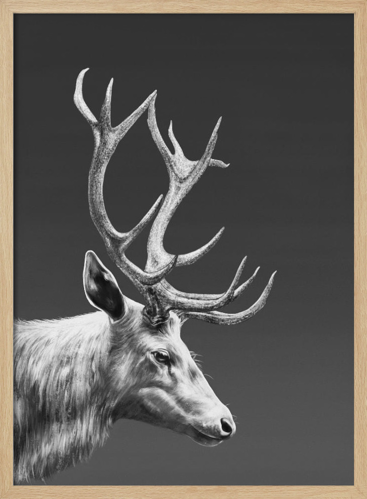 Plakat - Reindeer ramka na plakat z naturalnego drewna