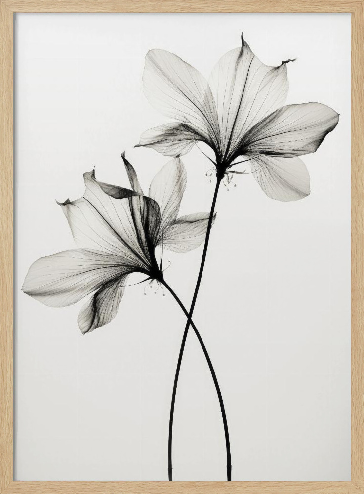 Poster - Transparent Botanic No 6 natural wood poster frame