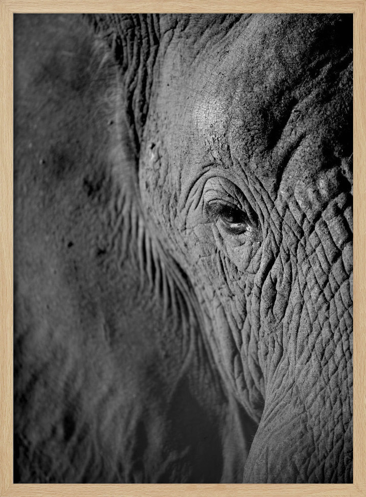 Poster - African Dream natural wood poster frame