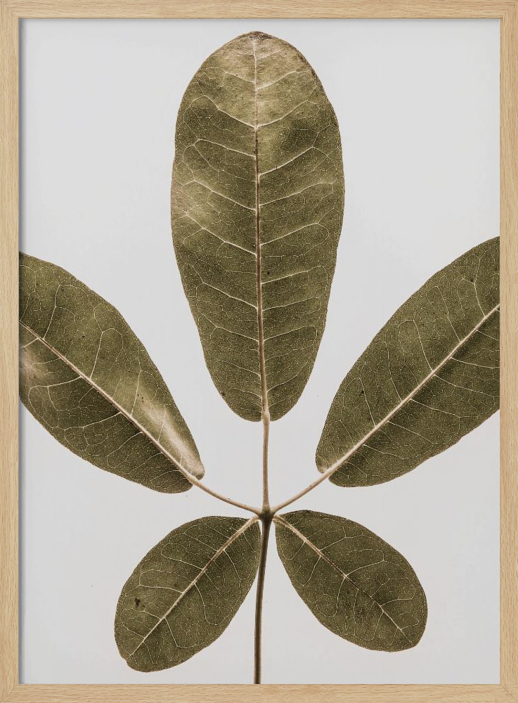 Poster - Autum Leaf natural wood poster frame