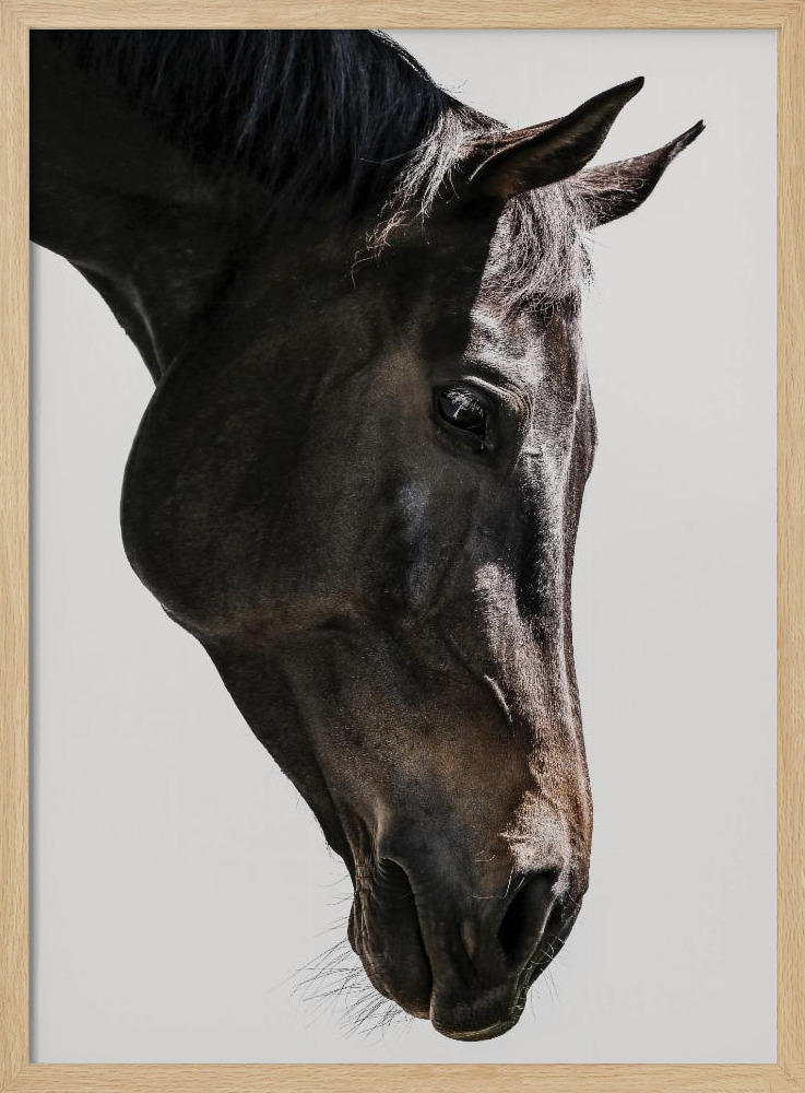Poster - Bingo natural wood poster frame
