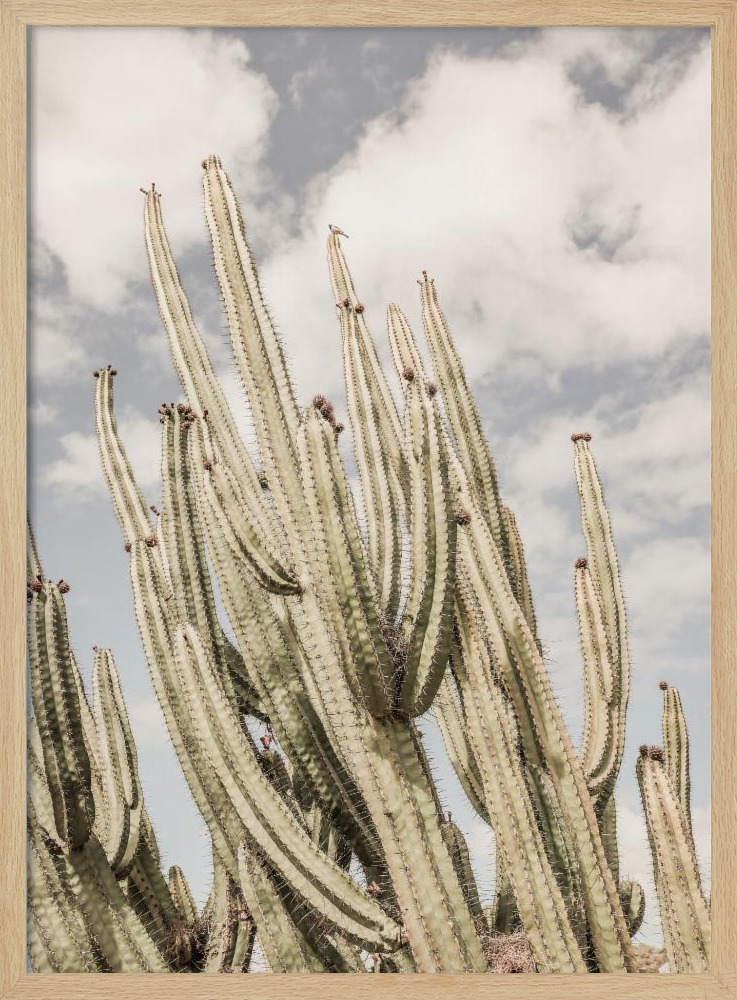 Poster - Desert Cathedral natural wood poster frame