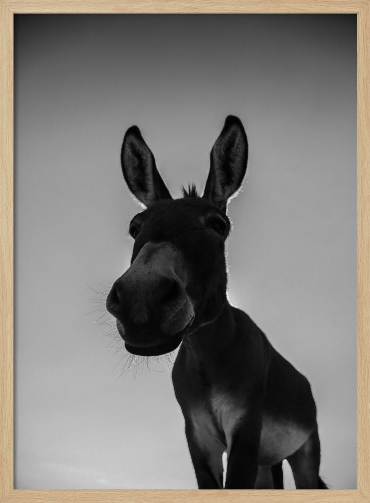 Poster - Donks natural wood poster frame