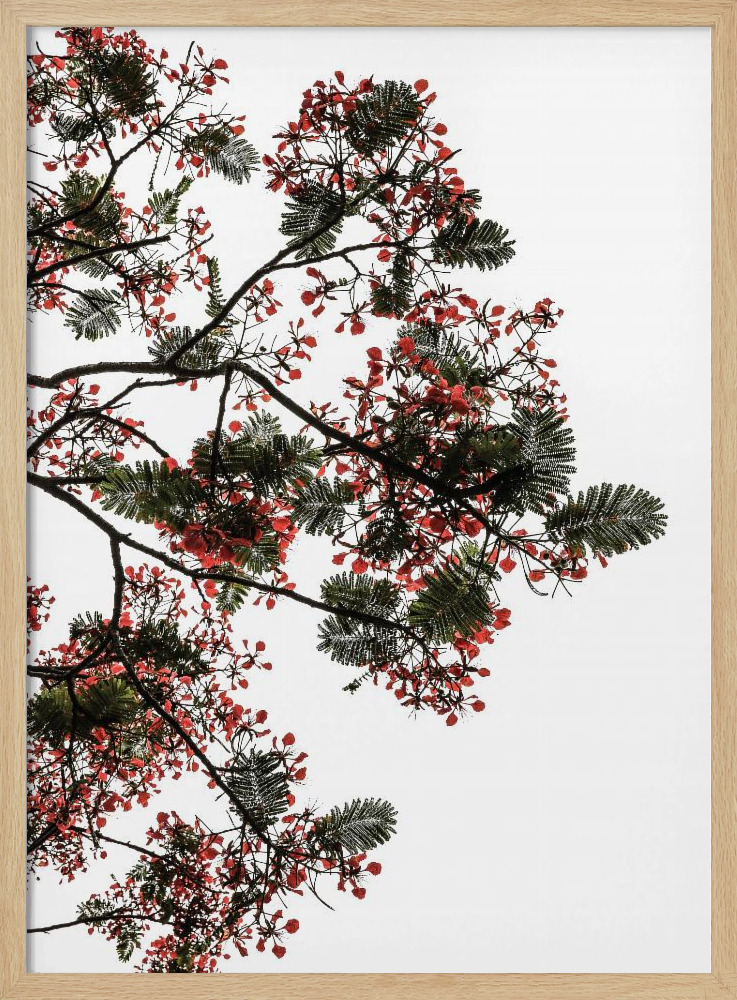 Affiche - Flamboyant cadre de poster en bois naturel