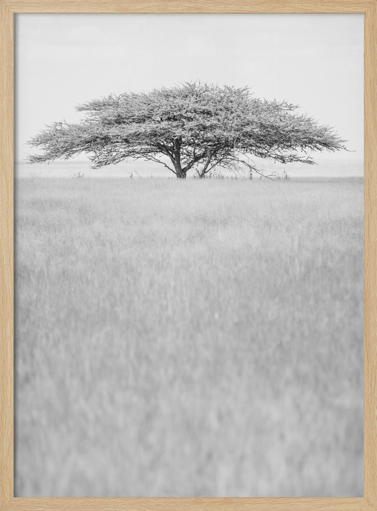 Affiche - Flat Crown cadre de poster en bois naturel