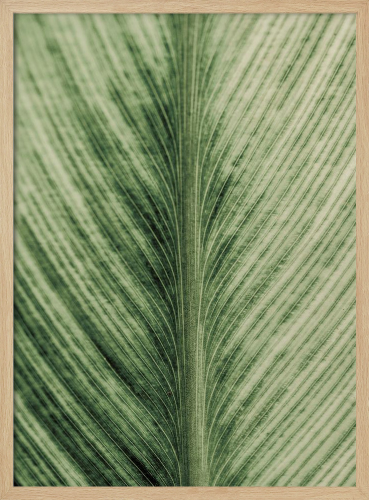 Poster - Forest Jewel natural wood poster frame
