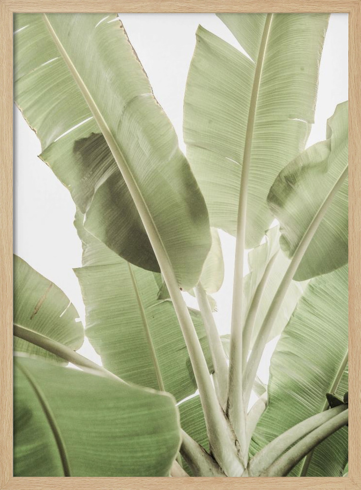 Poster - Full Bloom natural wood poster frame