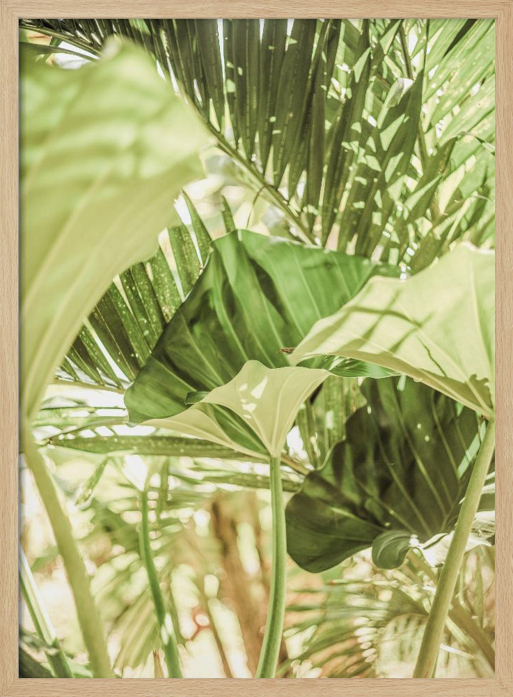 Poster - Garden Salad natural wood poster frame