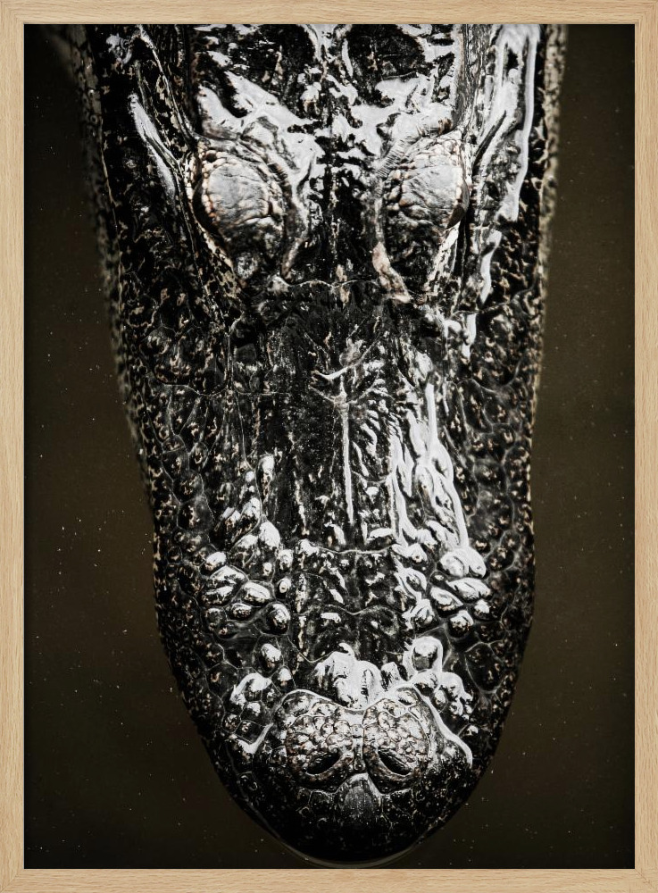 Poster - Gator natural wood poster frame