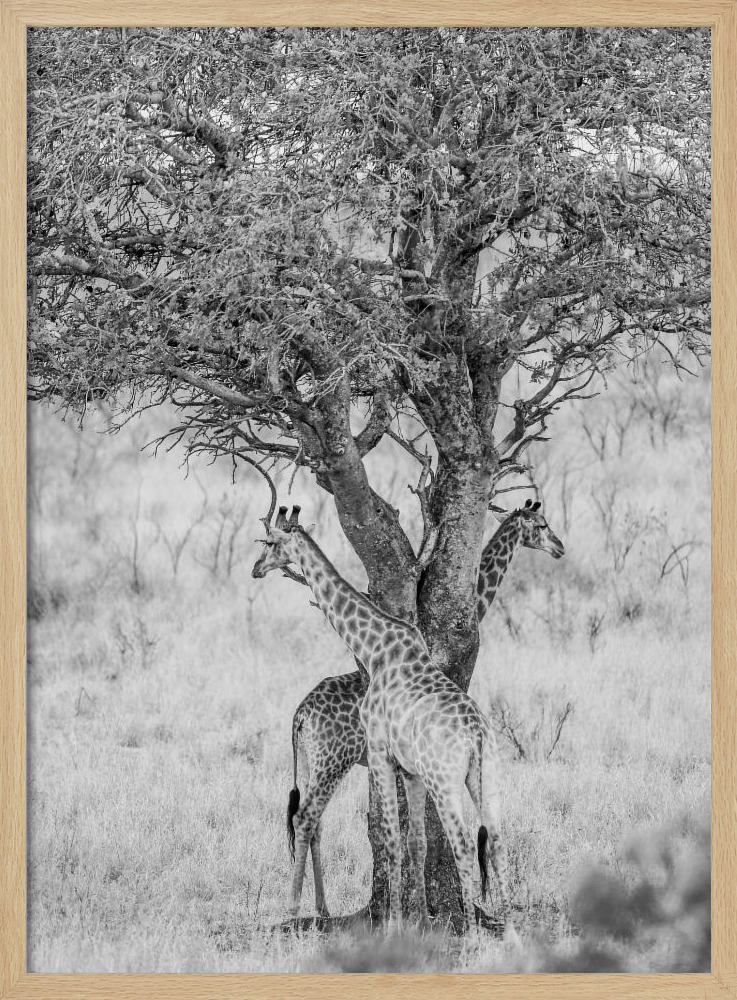 Poster - Got Your Back natural wood poster frame