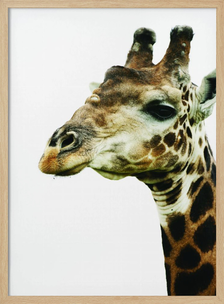 Poster - Hello natural wood poster frame