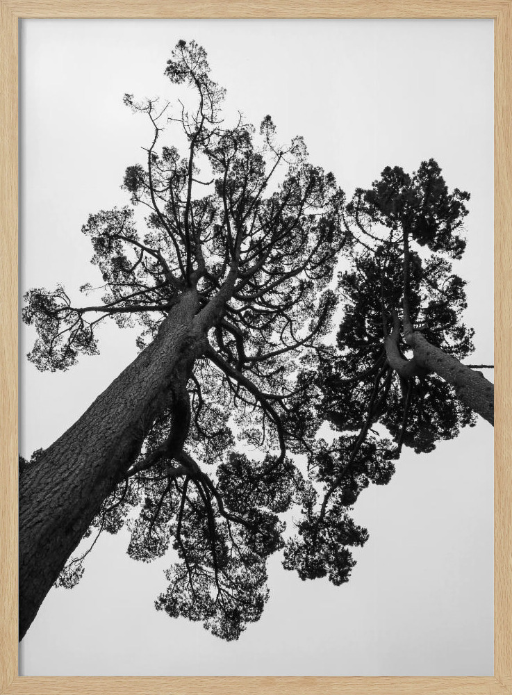 Affiche - Japanese Garden 02 cadre de poster en bois naturel