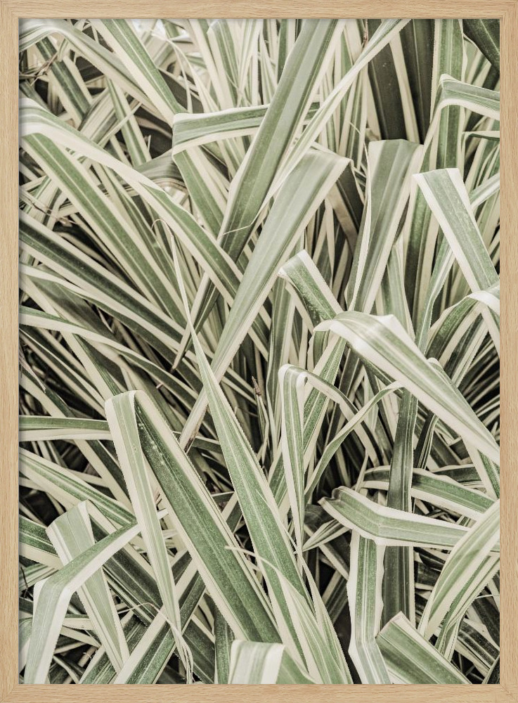 Poster - Jazzy Jungle natural wood poster frame