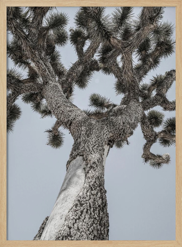 Poster - Joshua natural wood poster frame