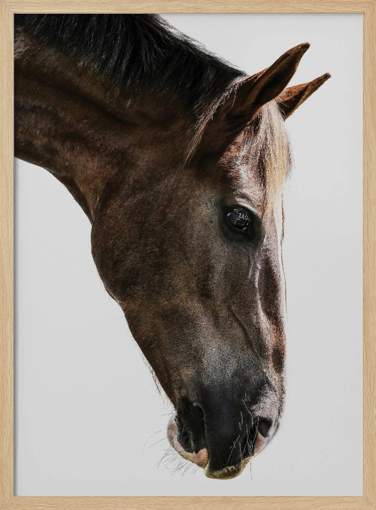 Poster - Kalimazoo natural wood poster frame