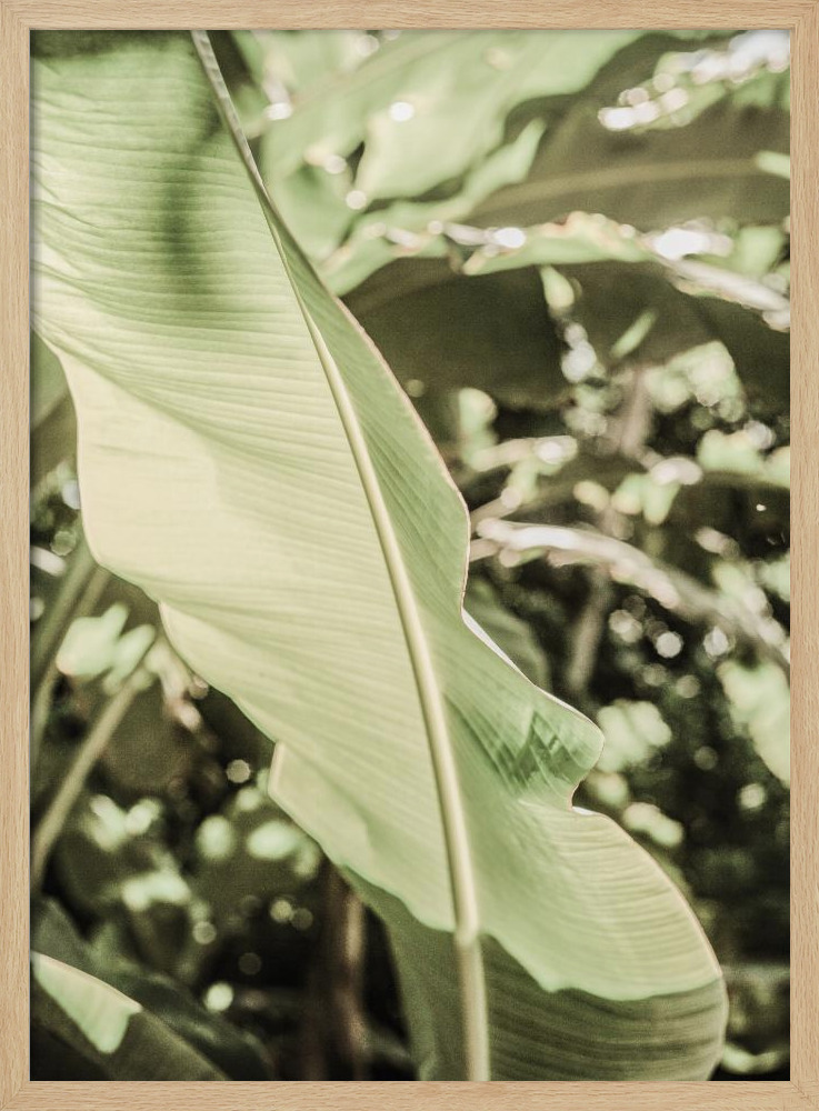 Poster - Lime Lightning posterframe van natuurlijk hout