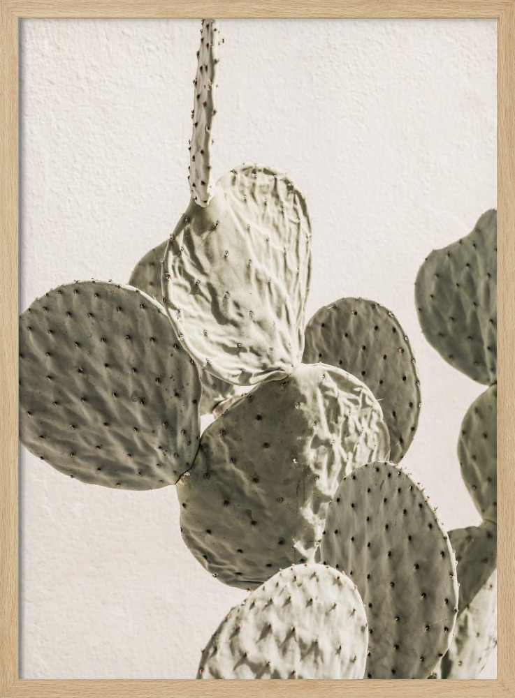 Poster - Mexi Catus 02 natural wood poster frame