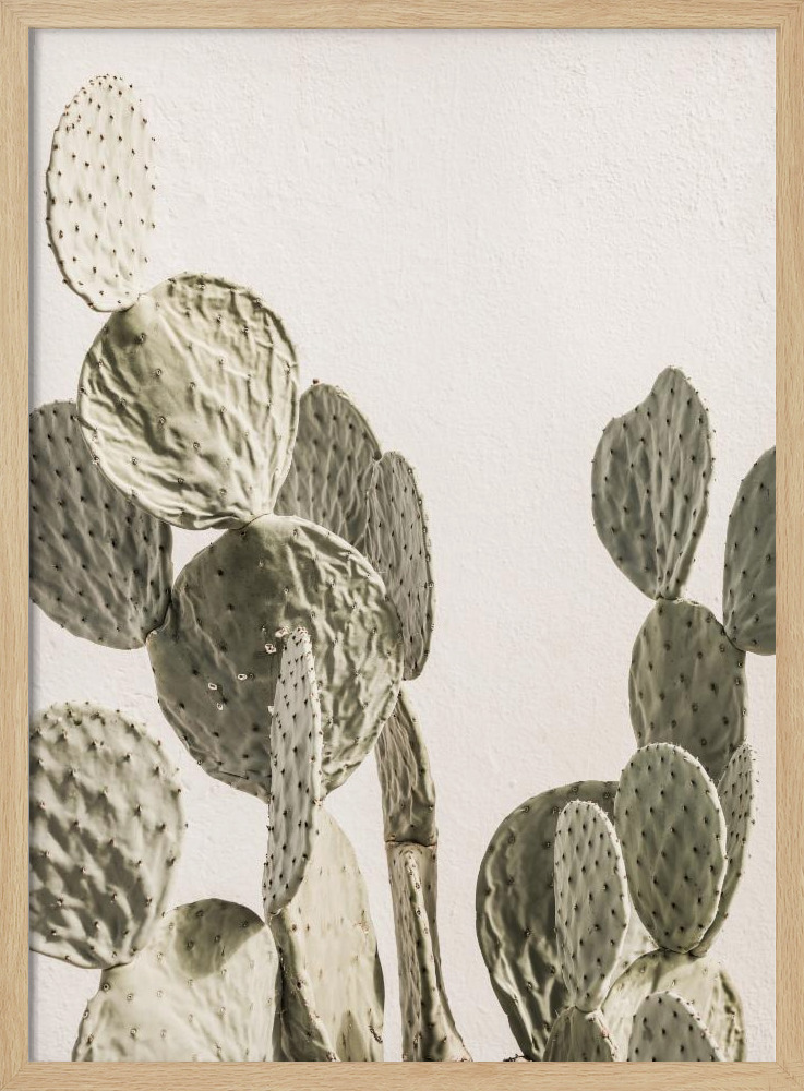 Poster - Mexi Catus natural wood poster frame