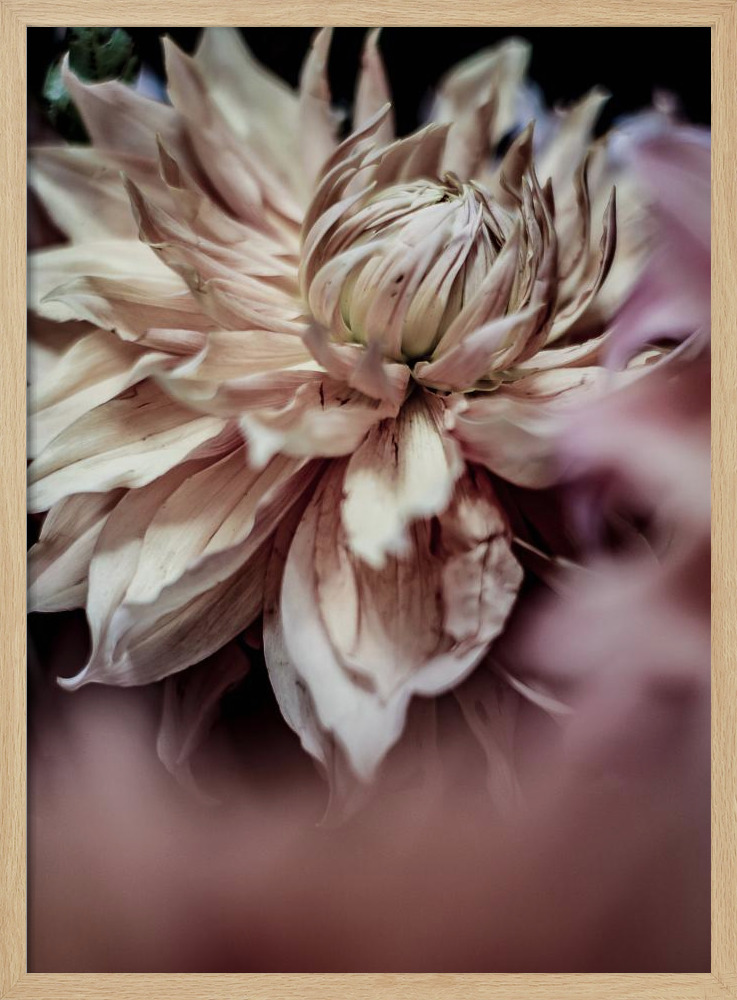 Poster - Morning Glory natural wood poster frame