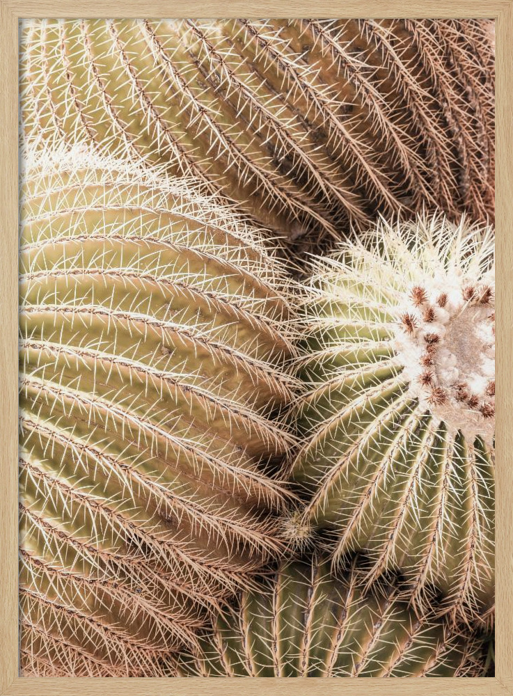 Poster - Mother In Laws Seat natural wood poster frame