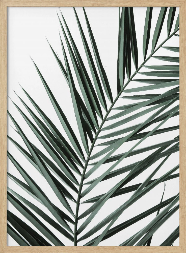 Poster - My Mint Moment 19 natural wood poster frame