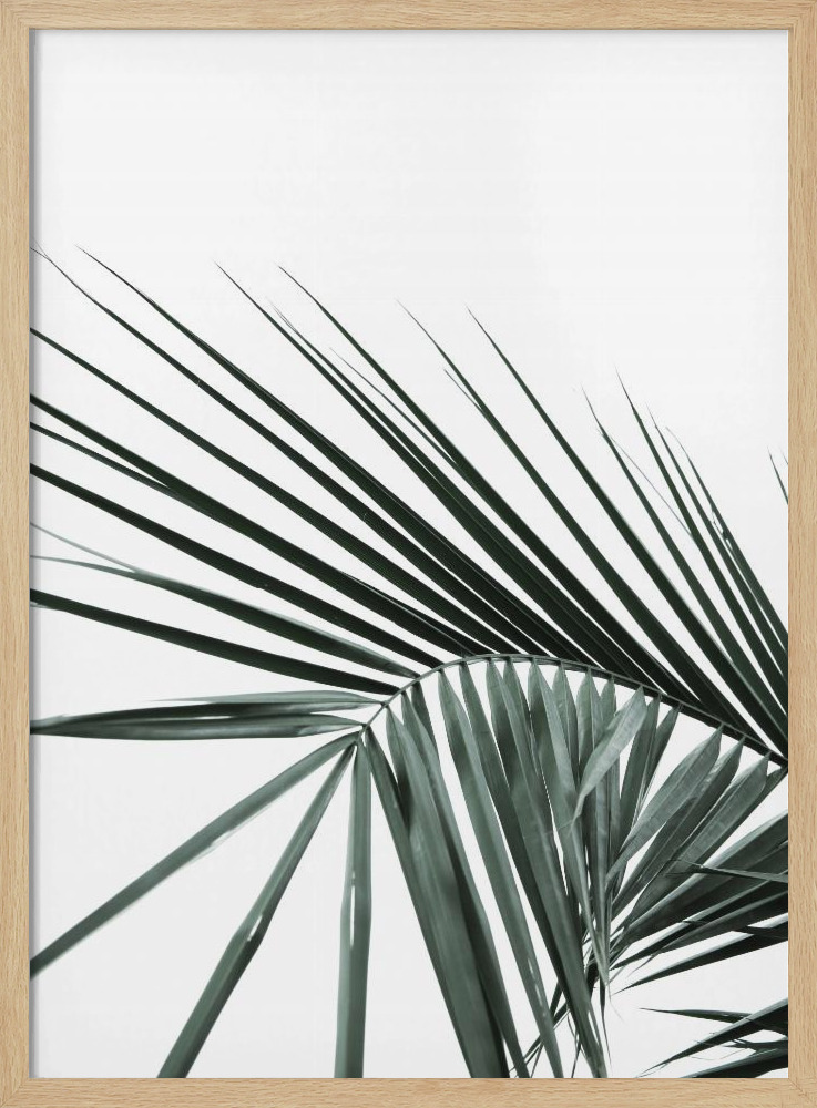 Poster - My Mint Moment 20 natural wood poster frame