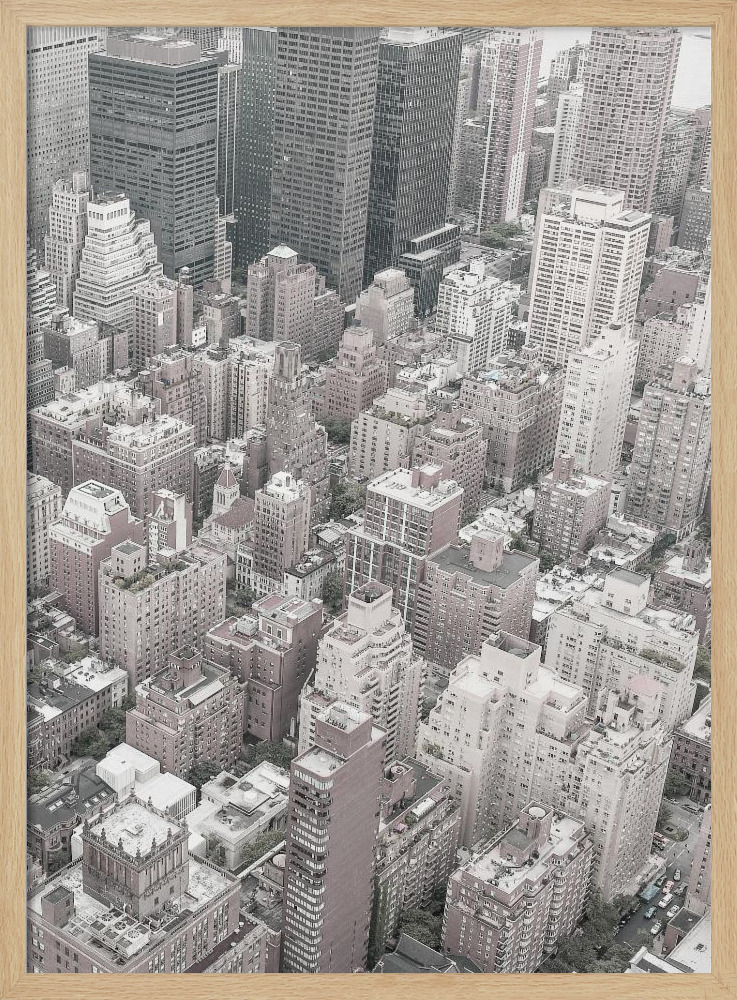 Juliste - Nyc luonnollinen puu julisteen kehys