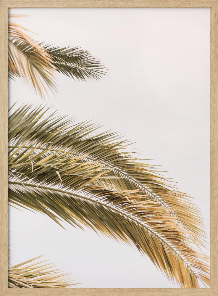 Poster - Oasis Palm 02jpg natural wood poster frame