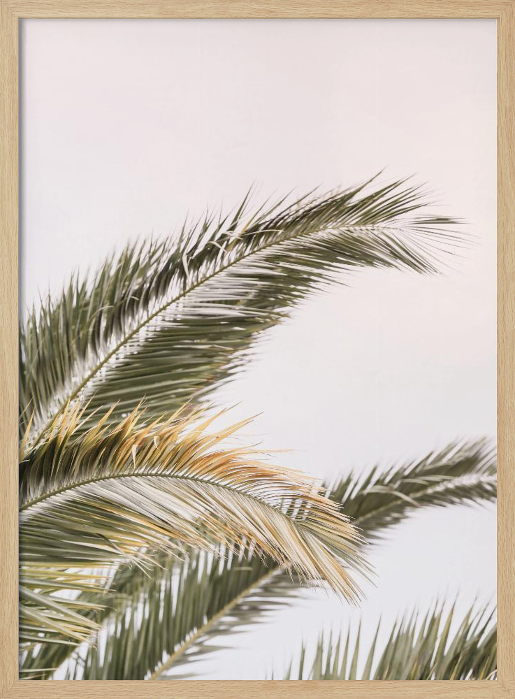 Poster - Oasis Palm 03 natural wood poster frame