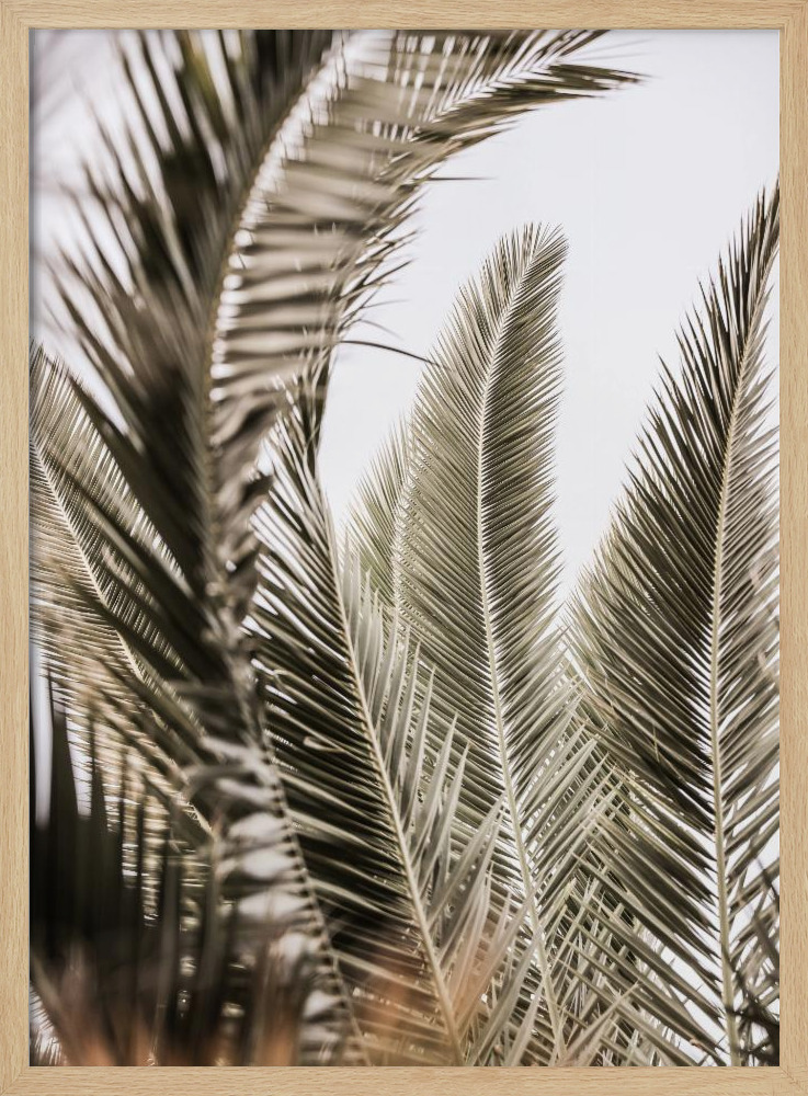 Poster - Palm Love natural wood poster frame